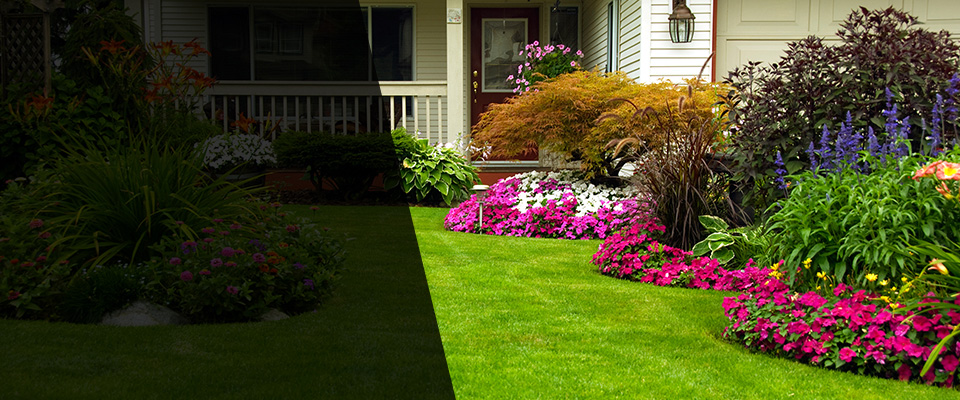 Chaparral Landscapers
