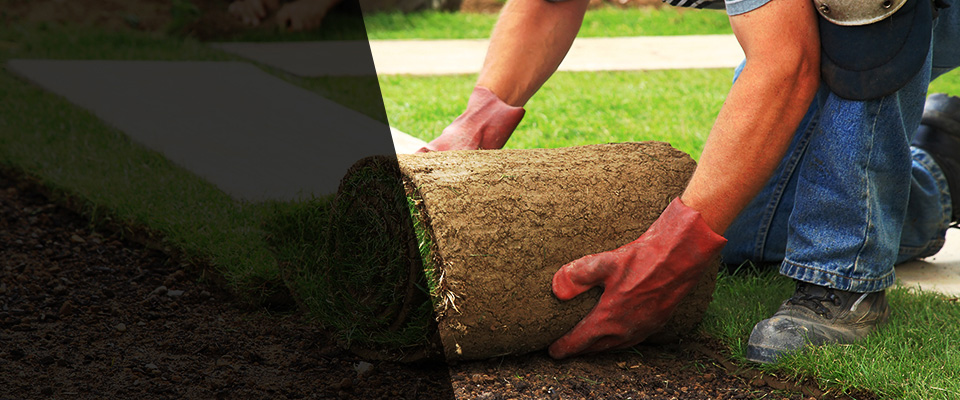 Chaparral Landscapers